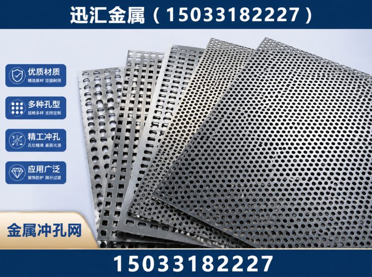 阜城县冲孔网展示图